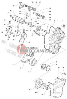 Gear Selector Assembly