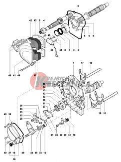 Gear Selector Assembly