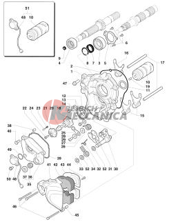 Gear Selector Assembly