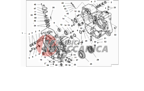 HALF-CRANKCASES PAIR