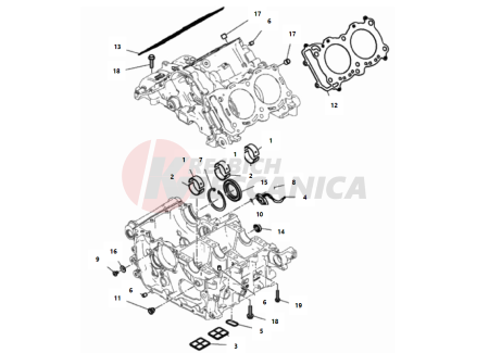 HALF-CRANKCASES PAIR 2