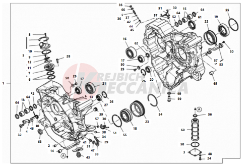 HALF-CRANKCASES PAIR