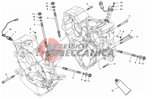 HALF-CRANKCASES PAIR