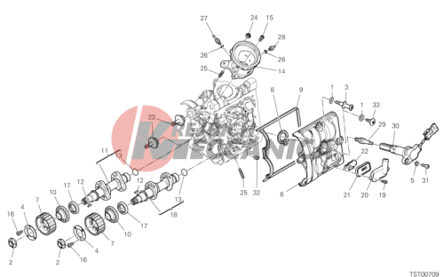 HORIZONTAL HEAD – TIMING SYSTEM