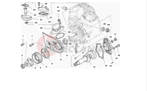 HORIZONTAL HEAD – TIMING SYSTEM