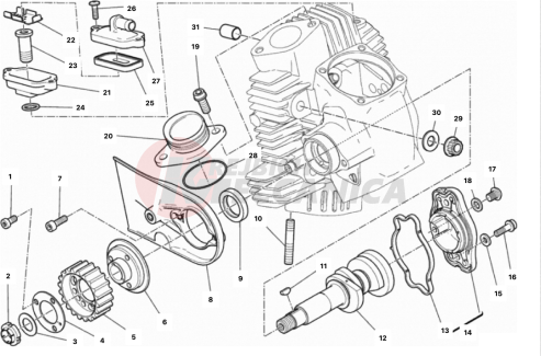 HORIZONTAL HEAD – TIMING SYSTEM