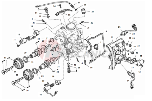 HORIZONTAL HEAD – TIMING SYSTEM