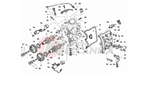 HORIZONTAL HEAD – TIMING SYSTEM