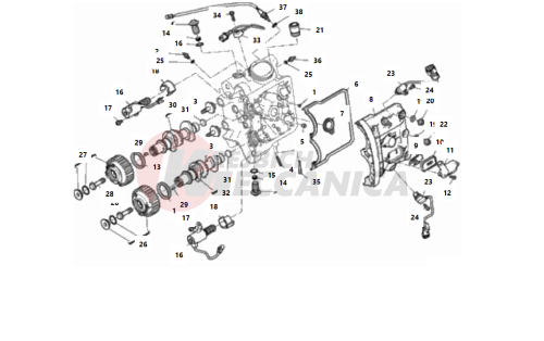 HORIZONTAL HEAD – TIMING SYSTEM