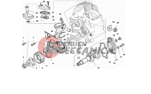 HORIZONTAL HEAD– TIMING SYSTEM