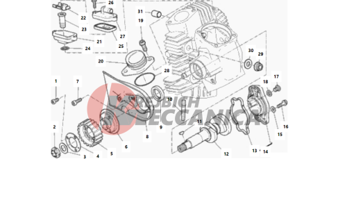 HORIZONTAL HEAD – TIMING SYSTEM