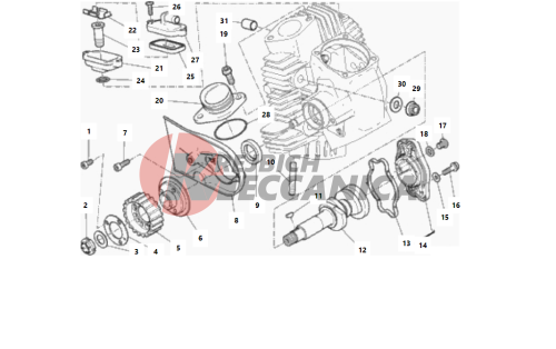 HORIZONTAL HEAD – TIMING SYSTEM