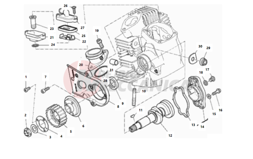 HORIZONTAL HEAD – TIMING SYSTEM