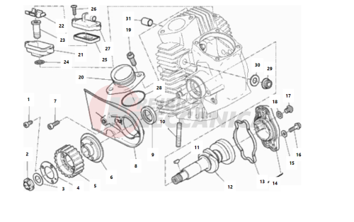 HORIZONTAL HEAD – TIMING SYSTEM