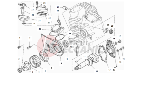 HORIZONTAL HEAD – TIMING SYSTEM