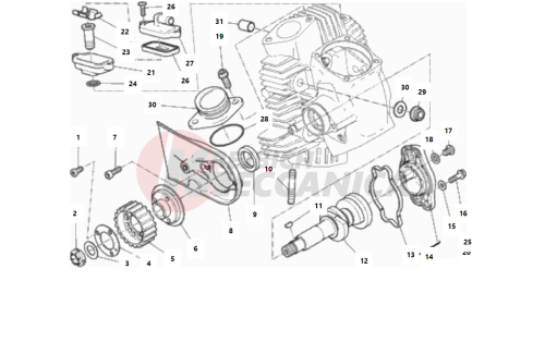 HORIZONTAL HEAD – TIMING SYSTEM