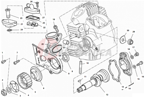 HORIZONTAL HEAD – TIMING SYSTEM