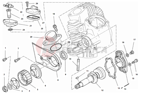 HORIZONTAL HEAD – TIMING SYSTEM