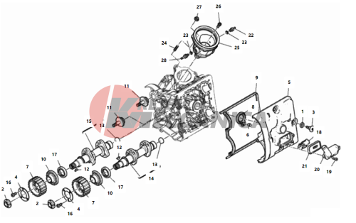 HORIZONTAL HEAD – TIMING SYSTEM