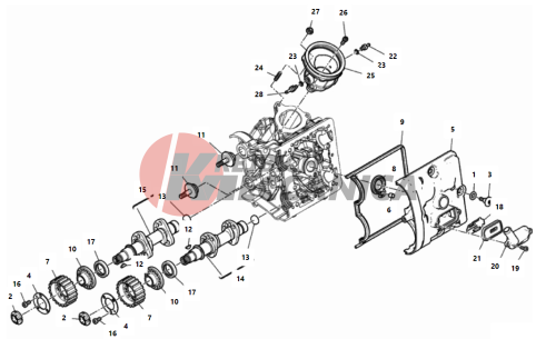 HORIZONTAL HEAD – TIMING SYSTEM