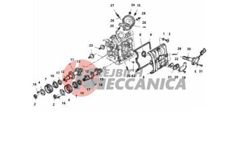 HORIZONTAL HEAD – TIMING SYSTEM