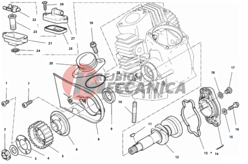 HORIZONTAL HEAD – TIMING SYSTEM