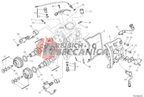 HORIZONTAL HEAD – TIMING SYSTEM