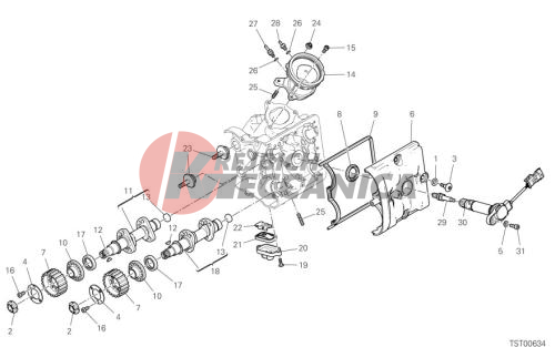 HORIZONTAL HEAD – TIMING SYSTEM