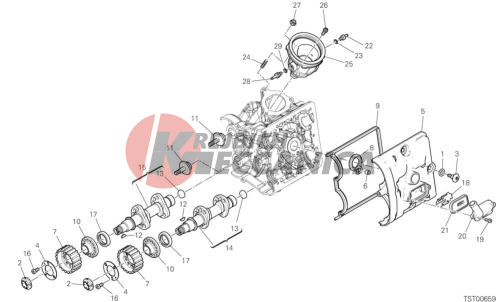 HORIZONTAL HEAD – TIMING SYSTEM