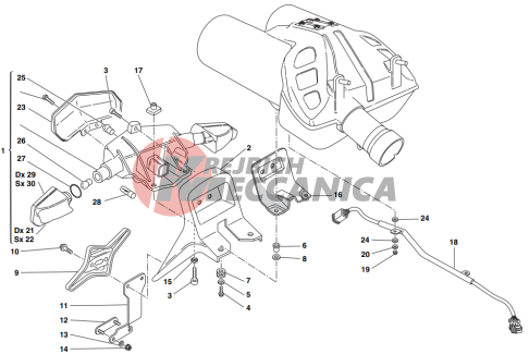 Number plate holder - tail light