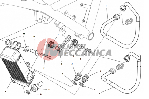 OIL COOLER (1/21)