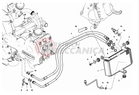 OIL COOLER