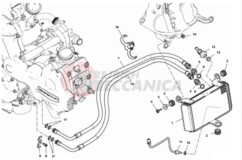 OIL COOLER