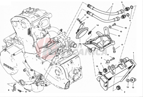 OIL COOLER