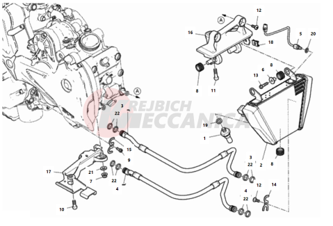 OIL COOLER