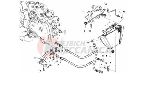 OIL COOLER