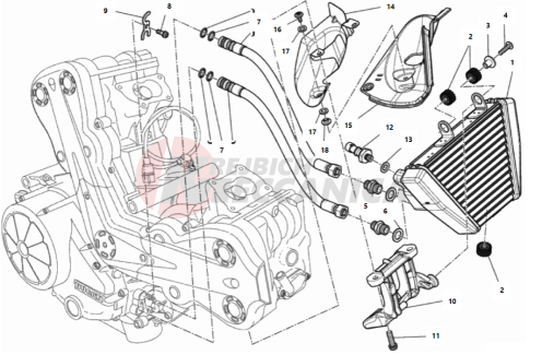 OIL COOLER