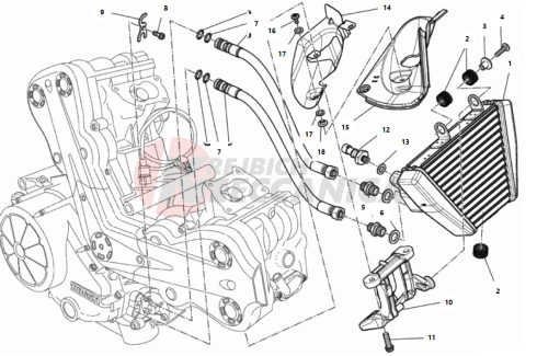 OIL COOLER