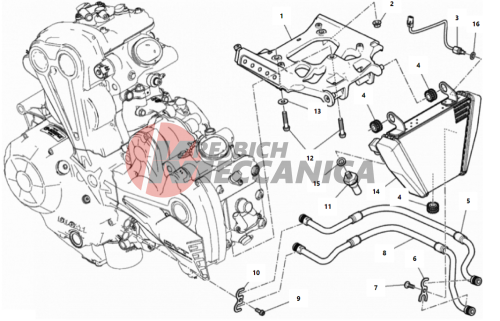 OIL COOLER