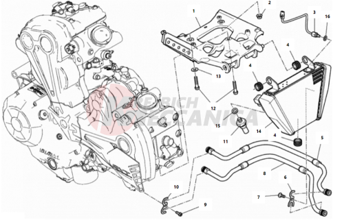 OIL COOLER