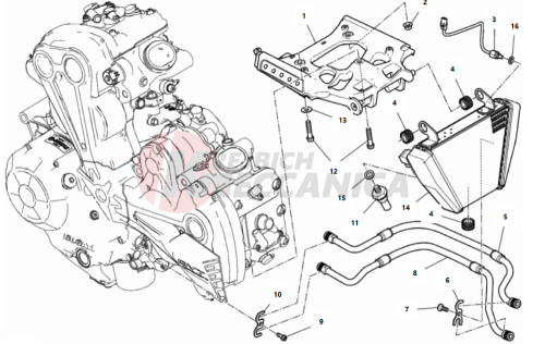 OIL COOLER