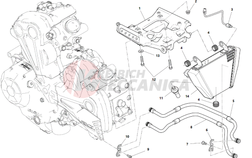 OIL COOLER