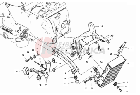 OIL COOLER