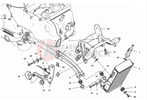 OIL COOLER