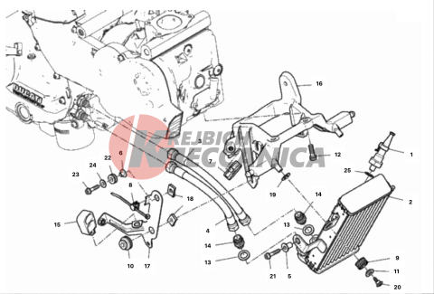 OIL COOLER