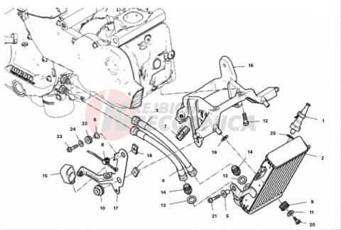 OIL COOLER