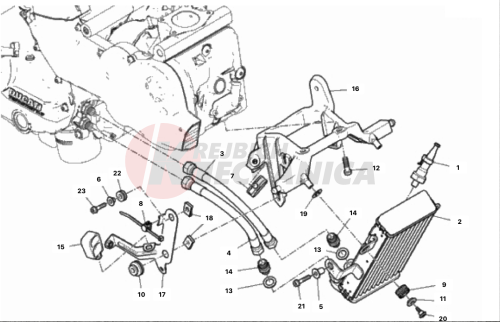 OIL COOLER