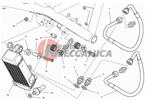 OIL COOLER