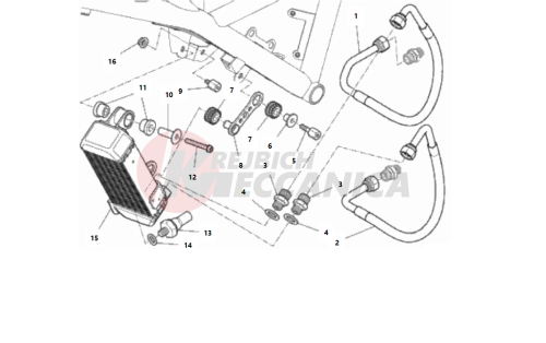 OIL COOLER