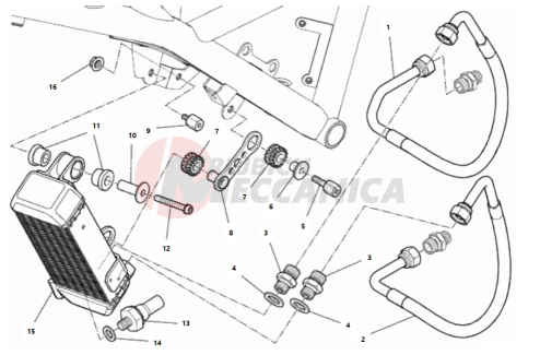 OIL COOLER